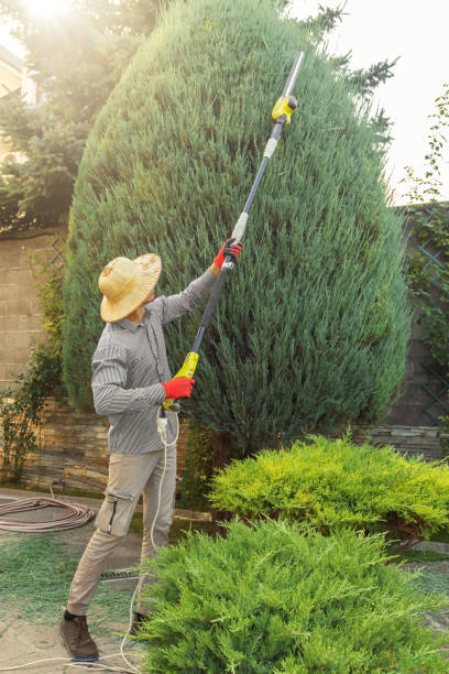 Lawn Watering Services in Brentwood, NY